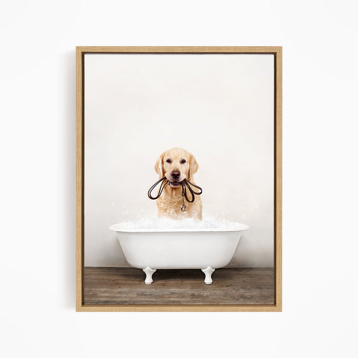 A golden retriever dog is sitting in a white bathtub filled with water, holding a leash in its mouth.