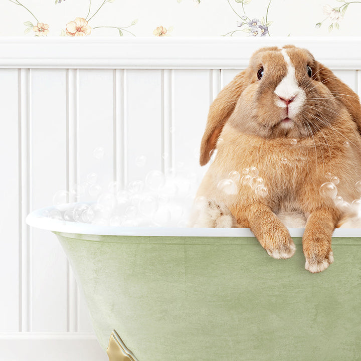 a rabbit sitting in a bathtub full of bubbles