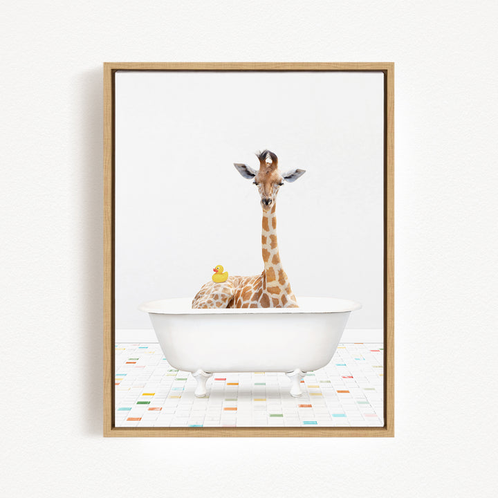 A giraffe is sitting in a white bathtub, with a rubber duck floating next to it, against a white background.