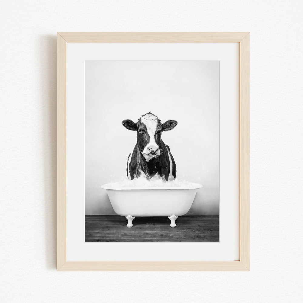 A black and white photograph of a cow standing in a bathtub filled with water.