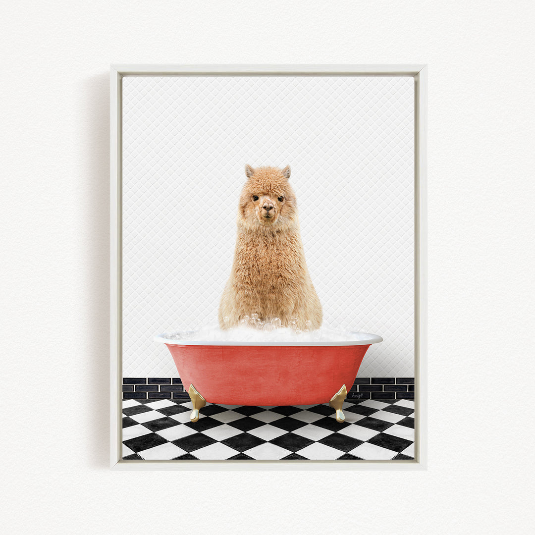 A fluffy brown dog sitting in a red bathtub filled with bubbles, with a black and white checkered floor in the background.
