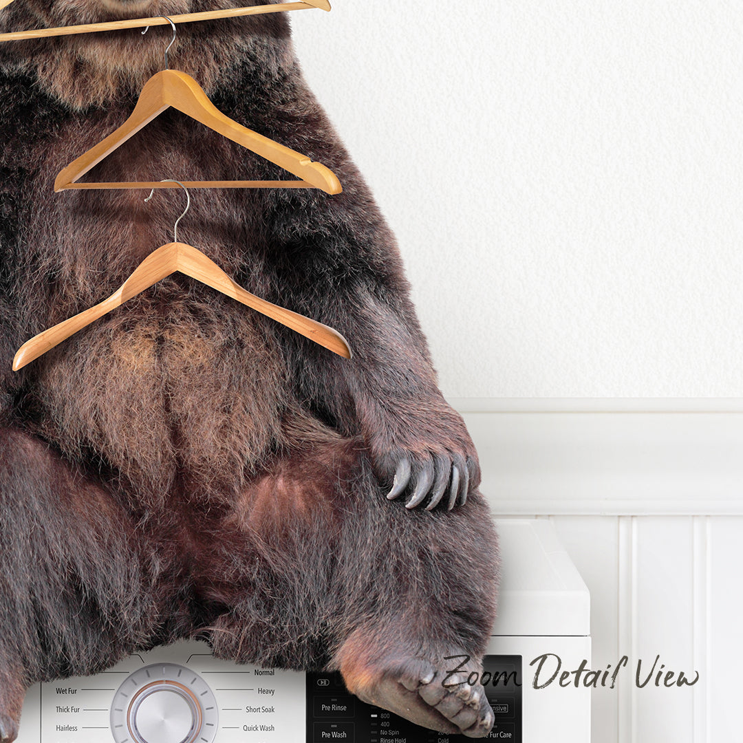 A close-up of a bear sitting on a washing machine, with three wooden hangers hanging from its back.