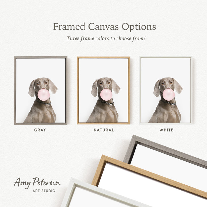 three framed canvas options for a dog blowing a bubble gum bubble. The options include a gray frame, a natural frame, and a white frame.
