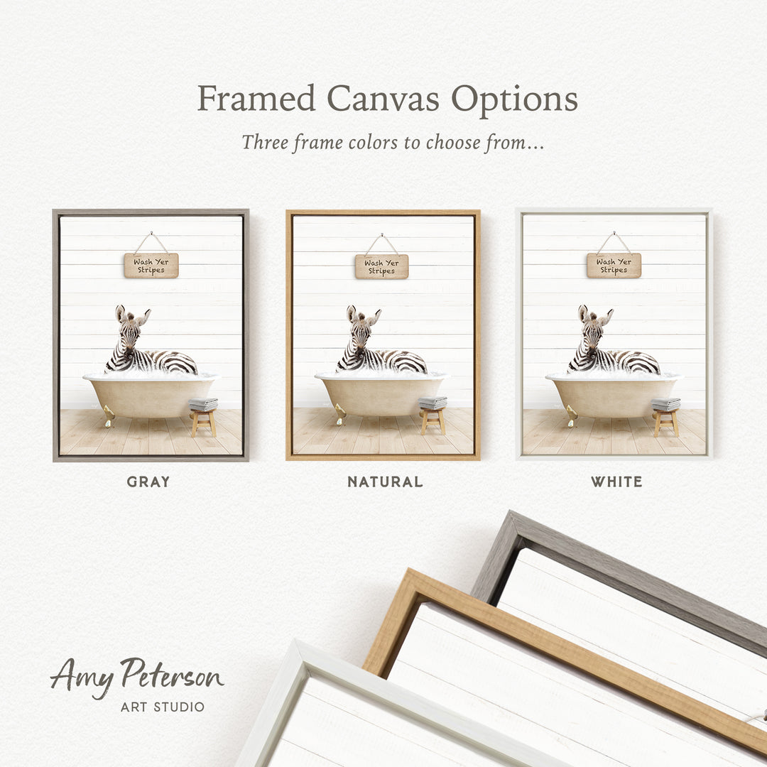 The image is a framed canvas option showcasing three different frame colors: gray, natural, and white. The canvas features a zebra sitting in a bathtub, and the text indicates that there are three frame colors to choose from.