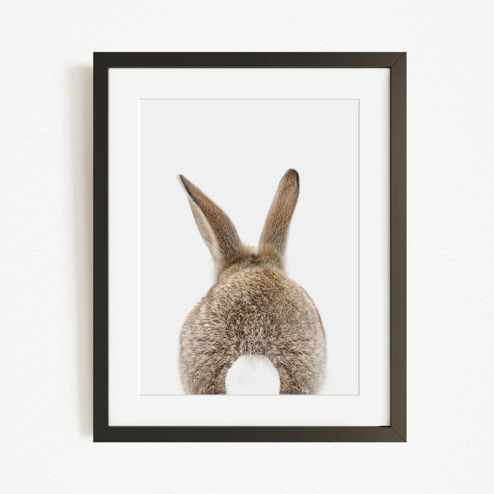 A framed image of a rabbit's back, showing its fluffy tail and long ears.