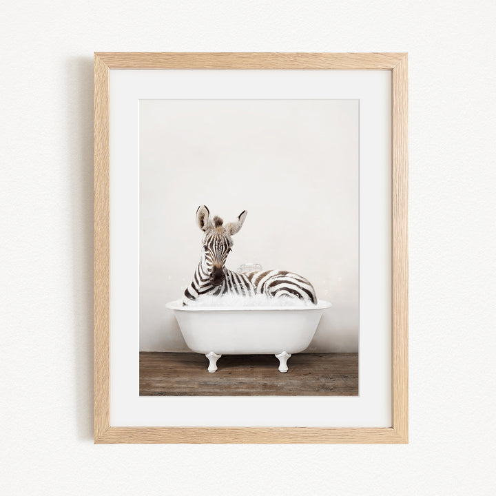 A zebra lying in a white bathtub, with its head resting on the edge of the tub.