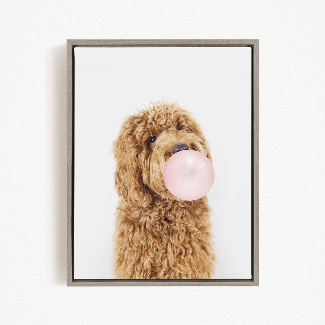 A brown dog with curly fur is blowing a bubble with a pink bubble gum bubble.