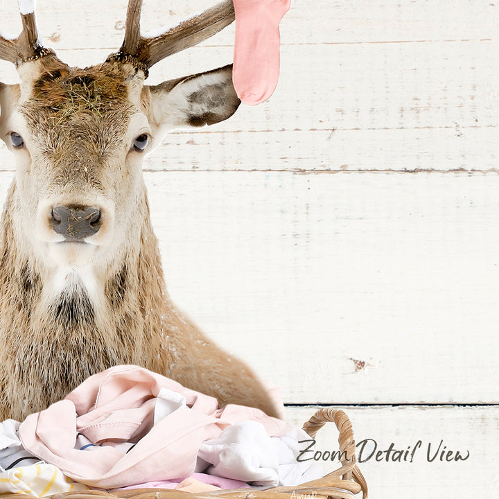A deer with antlers sits next to a basket filled with clothes, with a pink sock hanging from its ear.