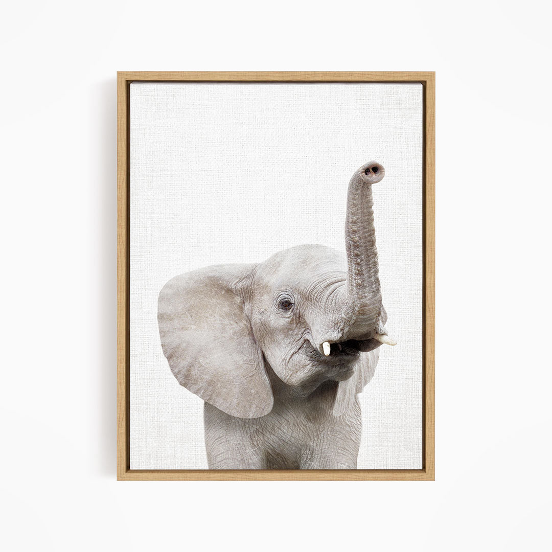 A gray elephant with its trunk raised, standing against a white background.