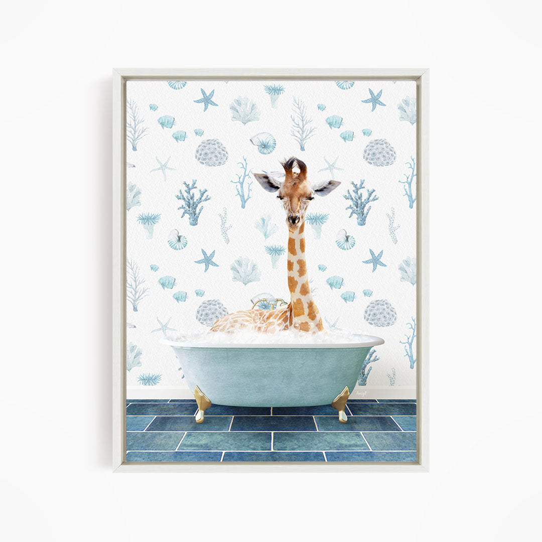 A giraffe is sitting in a blue bathtub filled with water, surrounded by a pattern of seashells and starfish on the wall behind it.