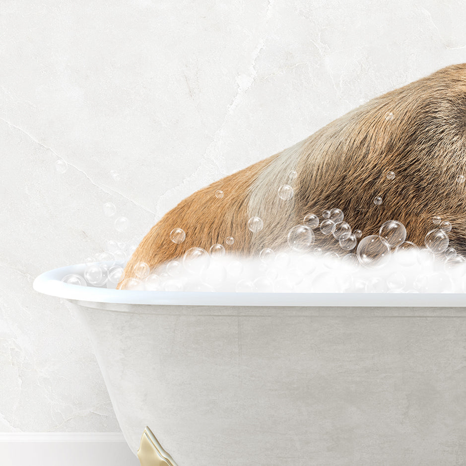 a dog is taking a bath in a bathtub