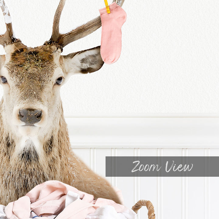 A deer head with antlers is shown in the image, with a pink sock hanging from its antlers.