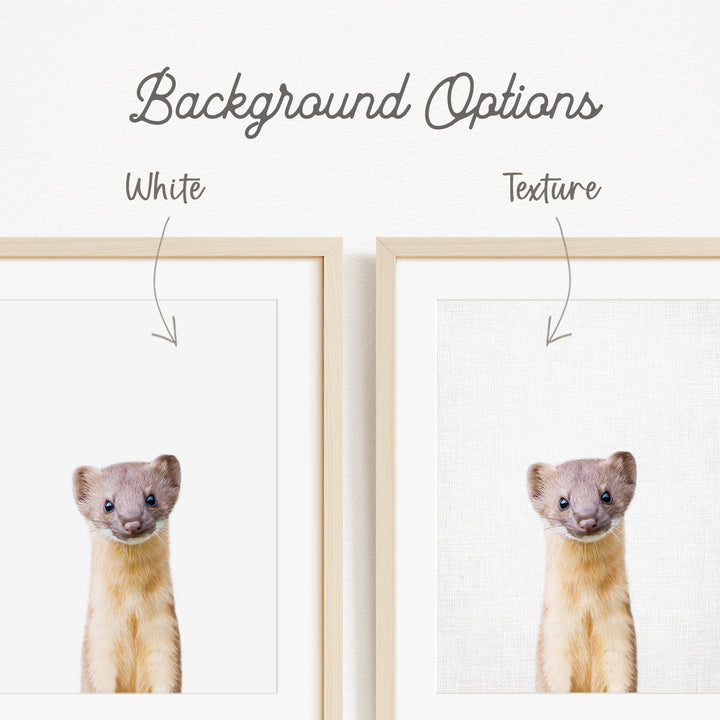 a cute brown and white animal, possibly a small rodent or rodent, with a white background. The animal is looking directly at the camera, giving a close-up view of its features.