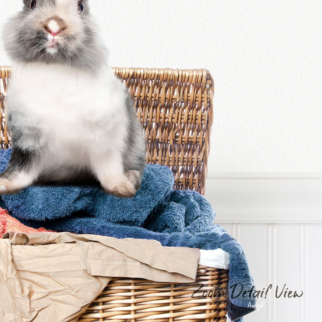A fluffy gray and white rabbit sits on a wicker basket filled with clothes, creating a cozy and charming scene.