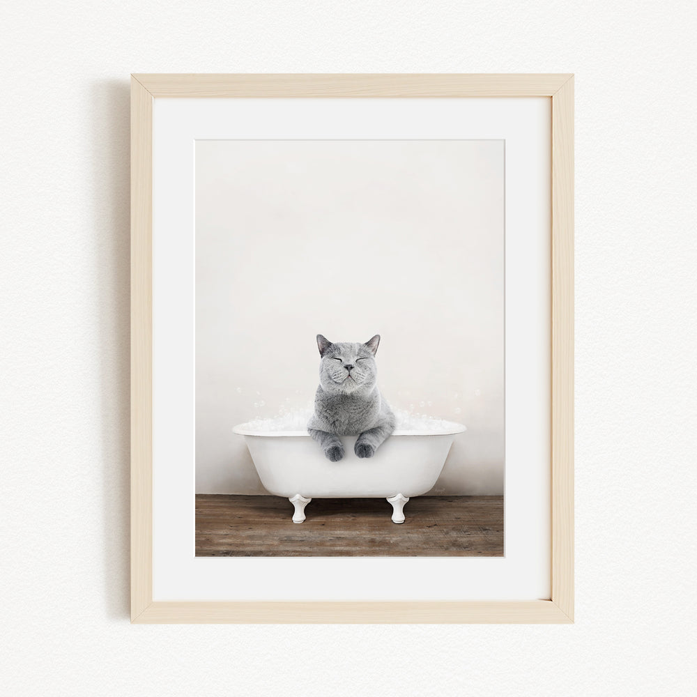 A gray cat sitting in a white bathtub, with its paws resting on the edge of the tub.