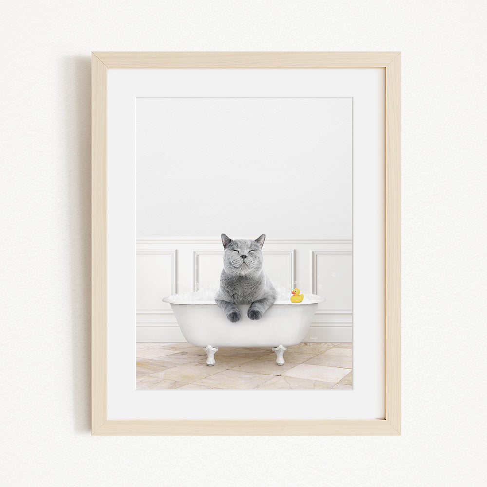 A gray cat sitting in a white bathtub, with a yellow rubber duck floating in the water.