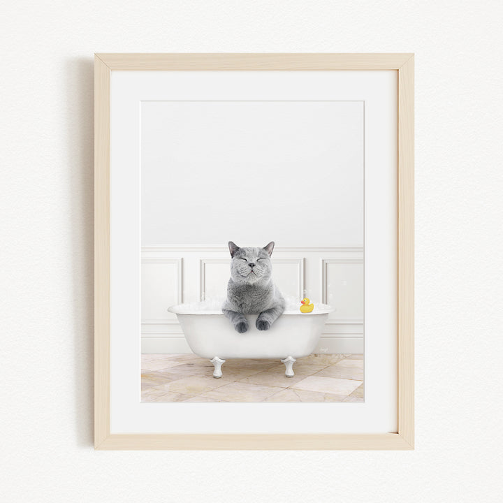 A gray cat sitting in a white bathtub, with a yellow rubber duck floating in the water.