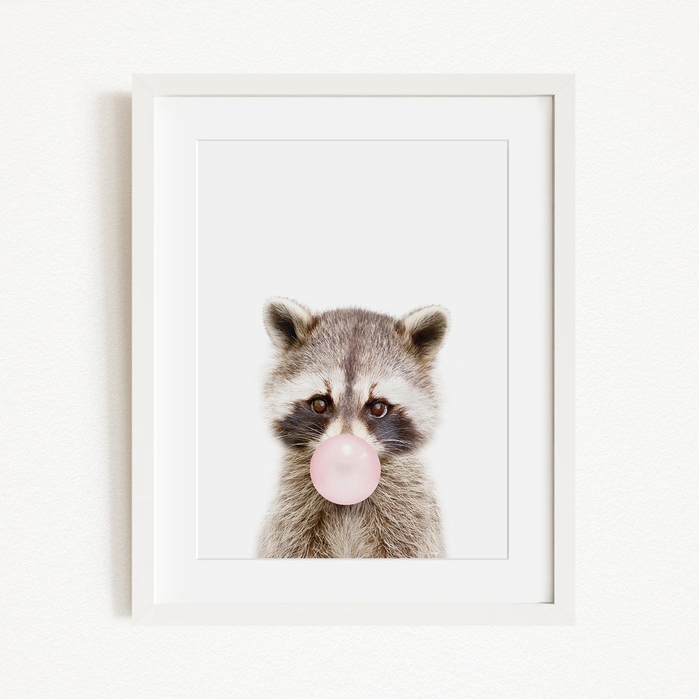 A raccoon blowing a bubble with a pink bubble gum bubble.