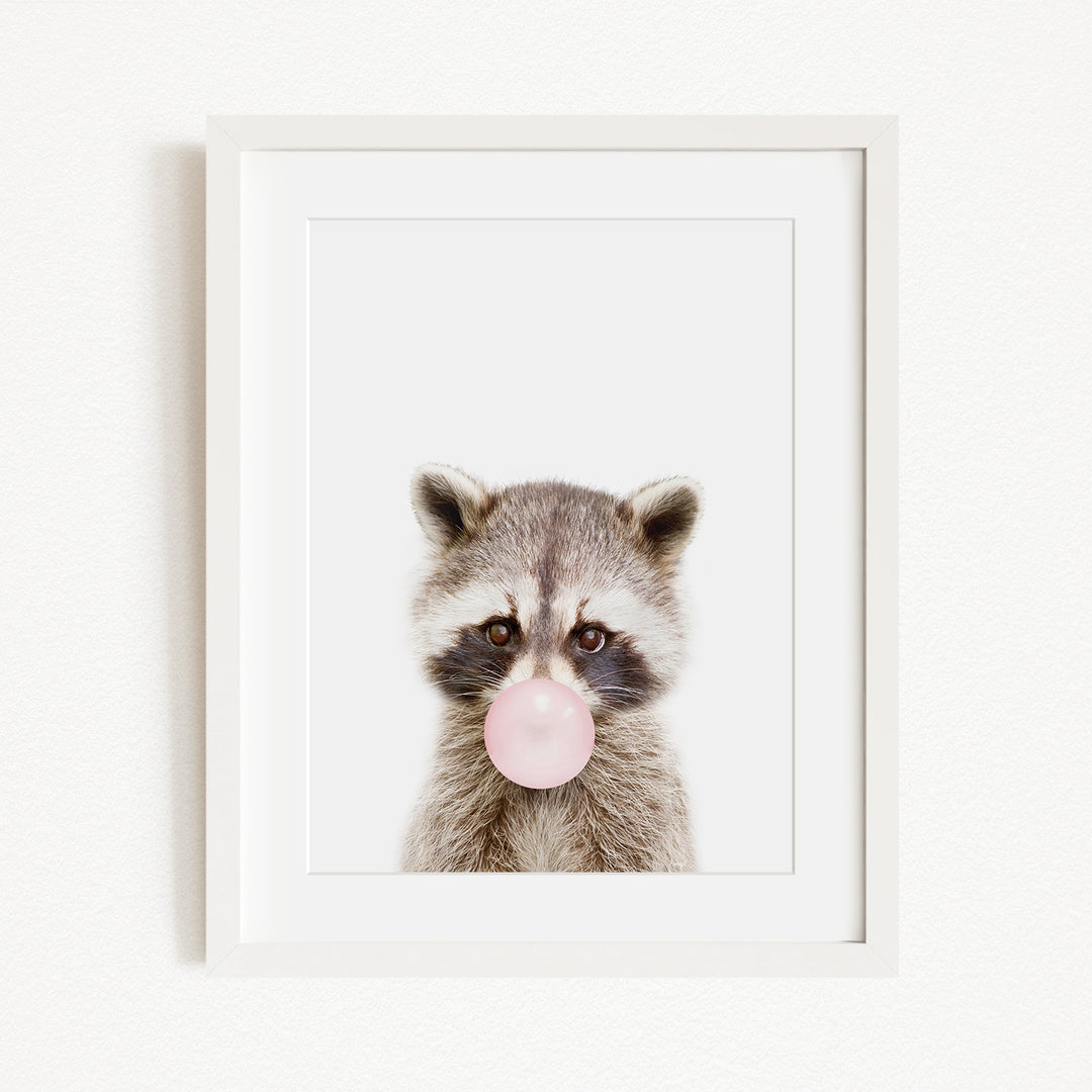 A raccoon blowing a bubble with a pink bubble gum bubble.