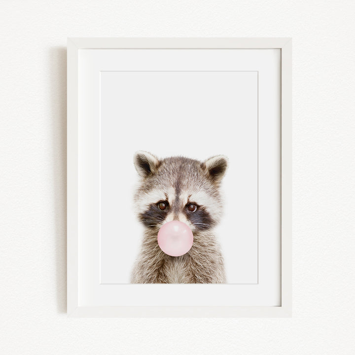 A raccoon blowing a bubble with a pink bubble gum bubble.
