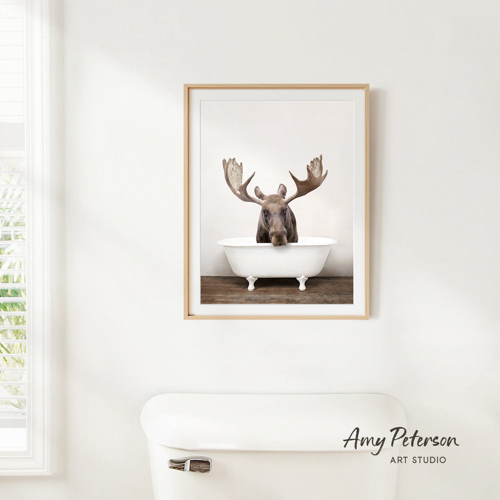 A framed image of a moose sitting in a bathtub is hanging on a white wall.