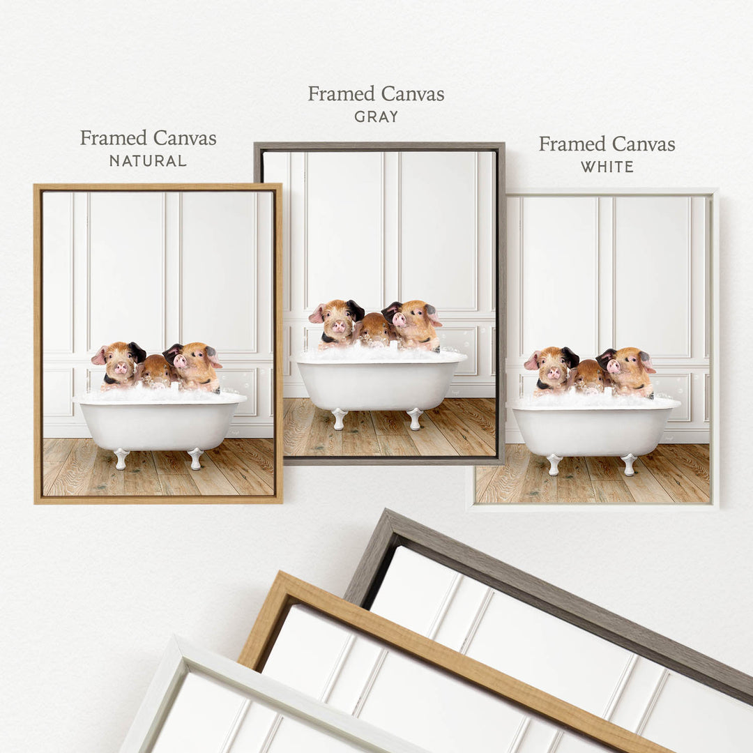 three framed pictures of small animals, likely dogs, sitting in a bathtub. The pictures are labeled as " Framed Canvas" in different colors: "Natural", "Gray", and "White".