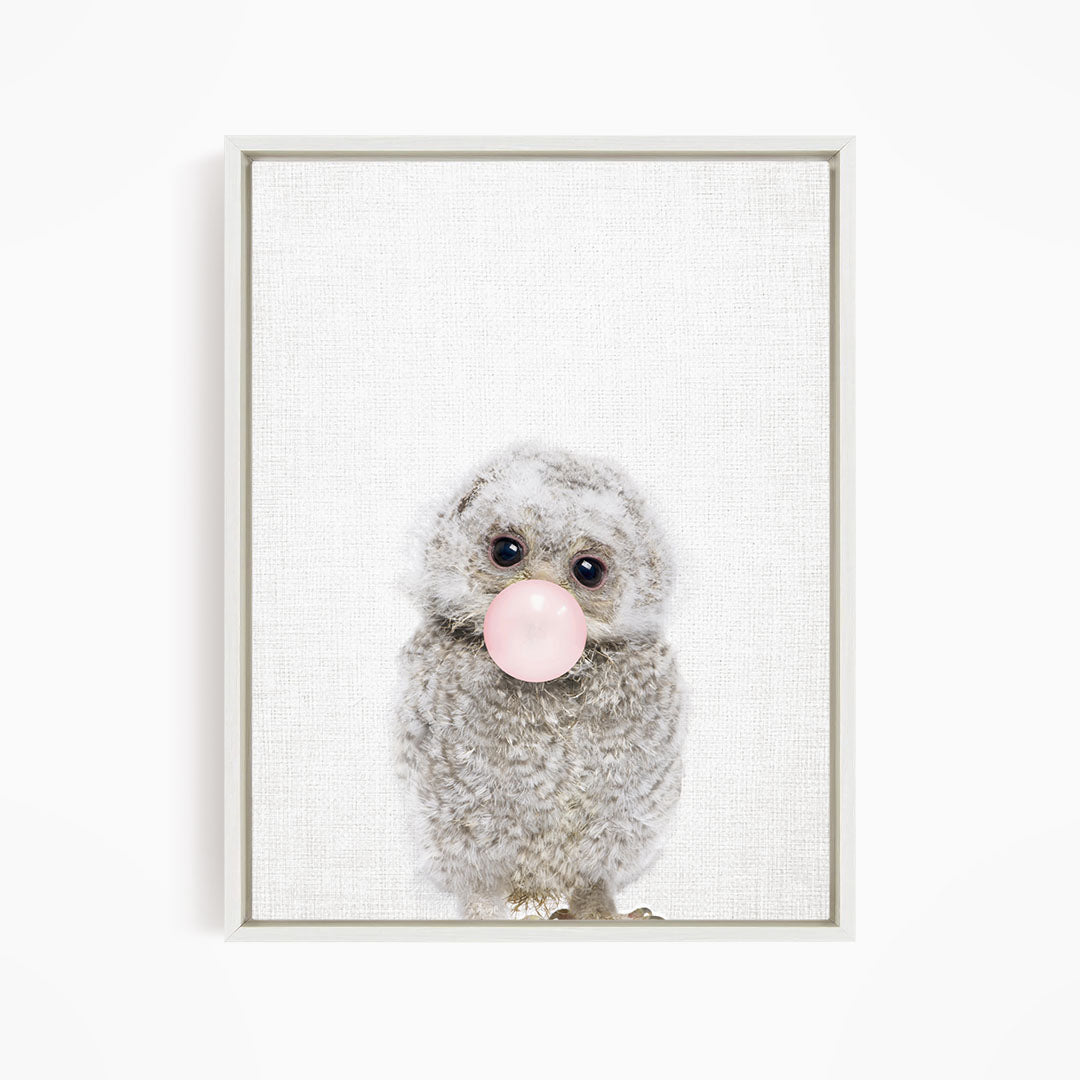 A fluffy gray owl with large eyes is blowing a pink bubblegum bubble.