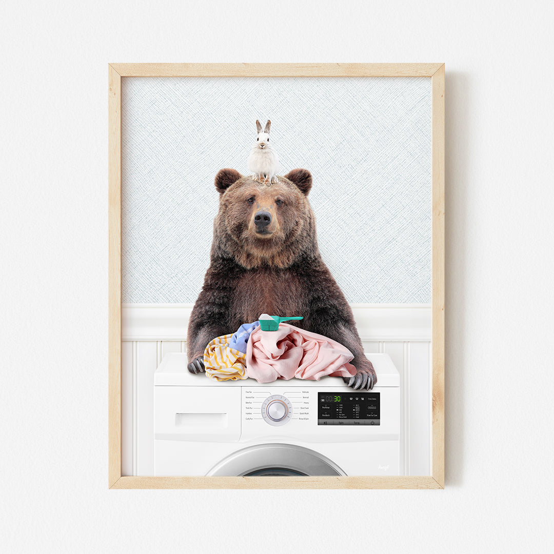 a picture of a bear sitting on top of a washing machine