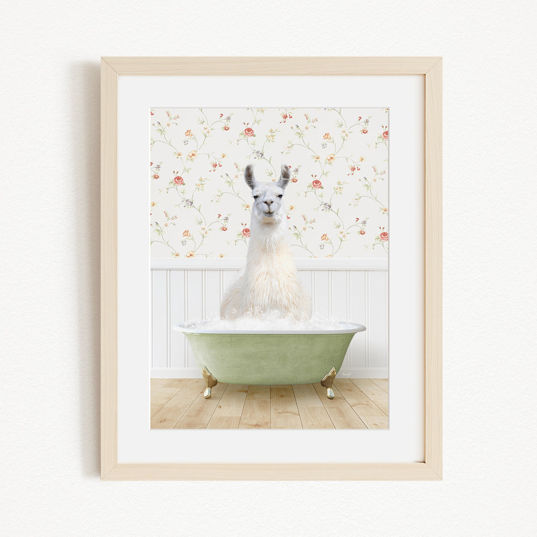 A white llama sitting in a green bathtub filled with bubbles, with a floral wallpaper in the background.