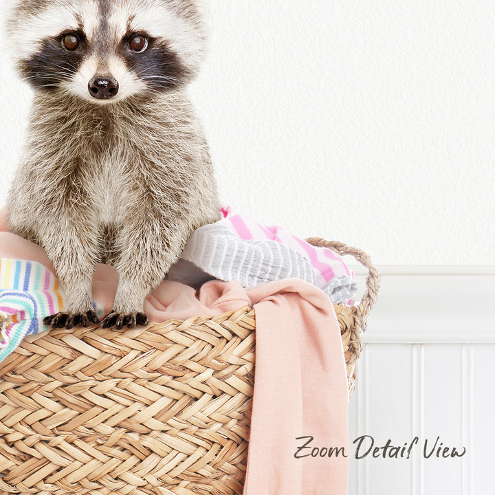 A raccoon sitting on top of a woven basket filled with clothes.