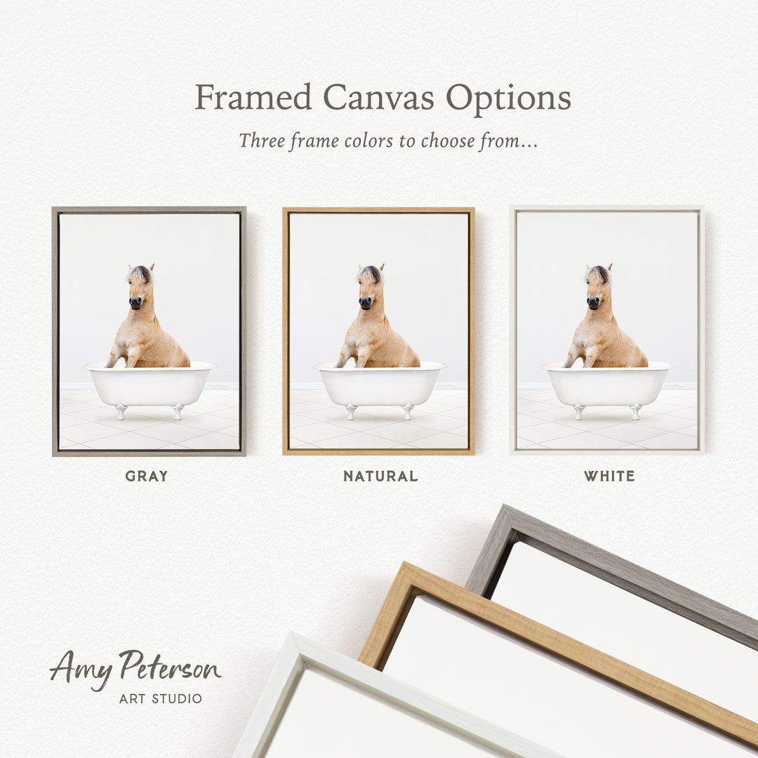 three framed canvas options, each featuring a brown horse sitting in a bathtub. The options include a gray frame, a natural frame, and a white frame.