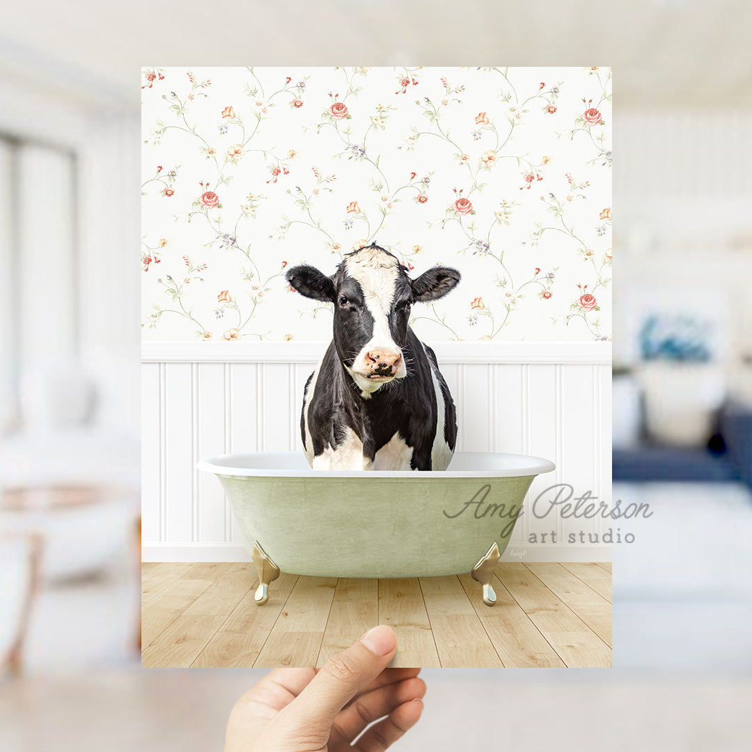 a hand holding up a photo of a cow in a bathtub