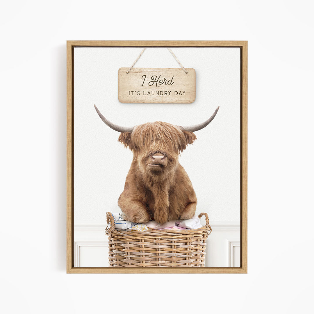 A framed image of a Highland cow sitting in a wicker basket, with a sign above it that says "It's laundry day".