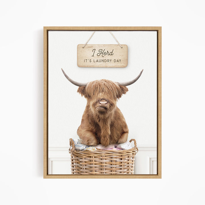A framed image of a Highland cow sitting in a wicker basket, with a sign above it that says "It's laundry day".