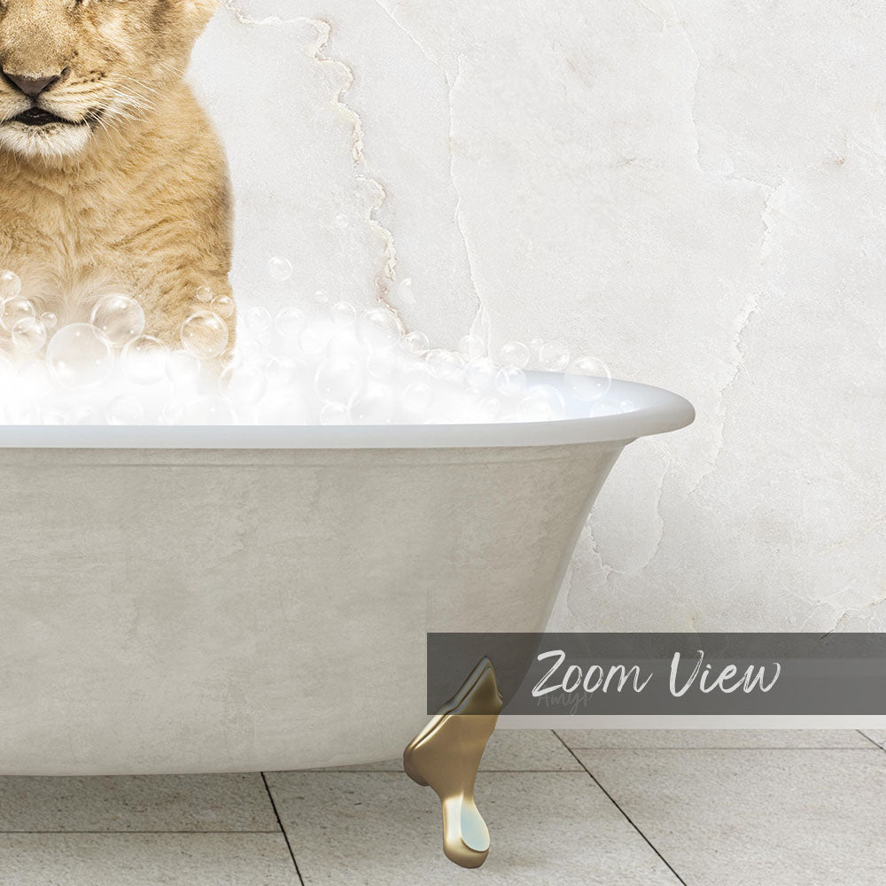A cat sitting in a bathtub filled with bubbles, with a text overlay that reads "Zoom View".