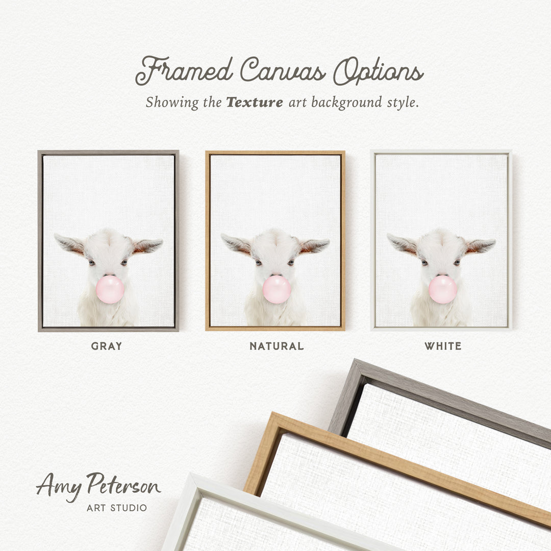 three framed canvas options, each featuring a white sheep with its head blowing a bubble. The options are labeled as "Grays," "Natural," and "White," indicating the color of the frame. The text " Framed Canvas Options" is displayed above the options, and "Showing the Texture art background style." is written below the options. The artist's name, " Amy Peterson," is also included at the bottom of the image.