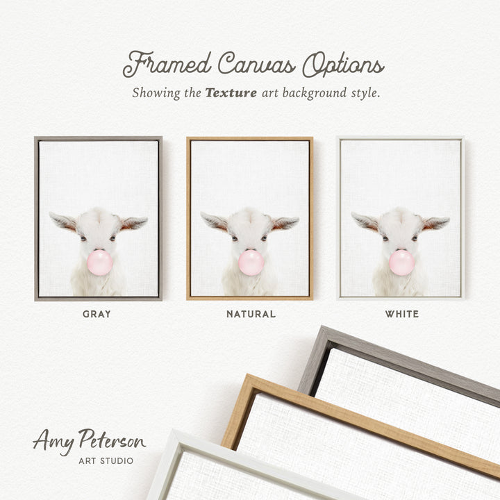 three framed canvas options, each featuring a white sheep with its head blowing a bubble. The options are labeled as "Grays," "Natural," and "White," indicating the color of the frame. The text " Framed Canvas Options" is displayed above the options, and "Showing the Texture art background style." is written below the options. The artist's name, " Amy Peterson," is also included at the bottom of the image.