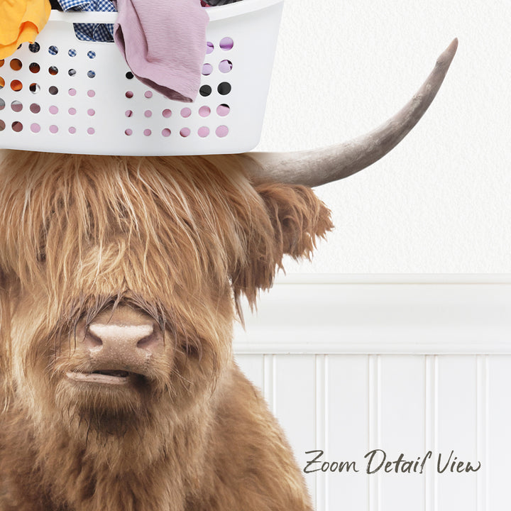 A Highland cow with shaggy fur and a white basket on its head, with a white wall and a text overlay that reads "Zoom Detail View".