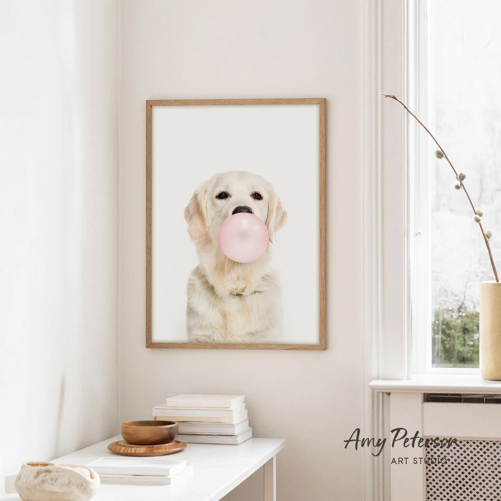 A framed photograph of a white dog holding a pink bubble gum bubble is hanging on a white wall in a room with a white table and a window.