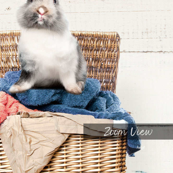 A fluffy gray and white rabbit sits on a wicker basket, surrounded by various items such as towels and clothes.