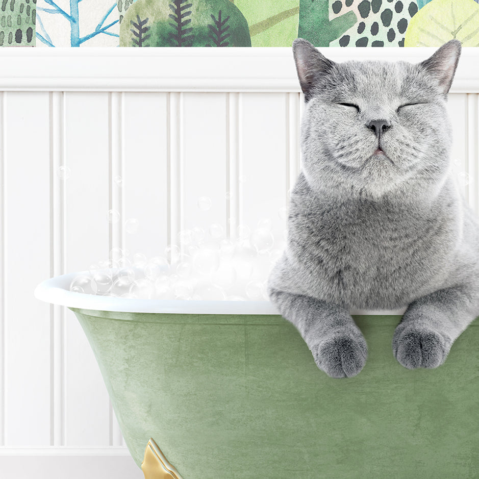 a grey cat sitting in a green bath tub