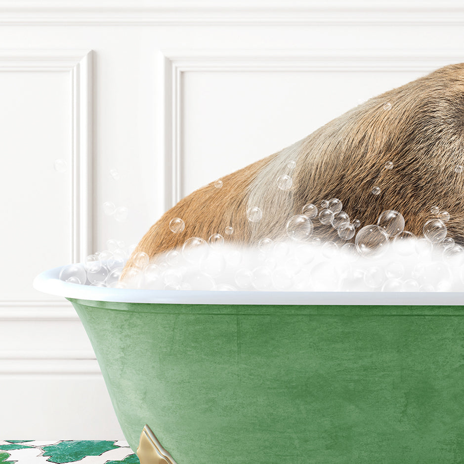 a dog taking a bath in a green bathtub