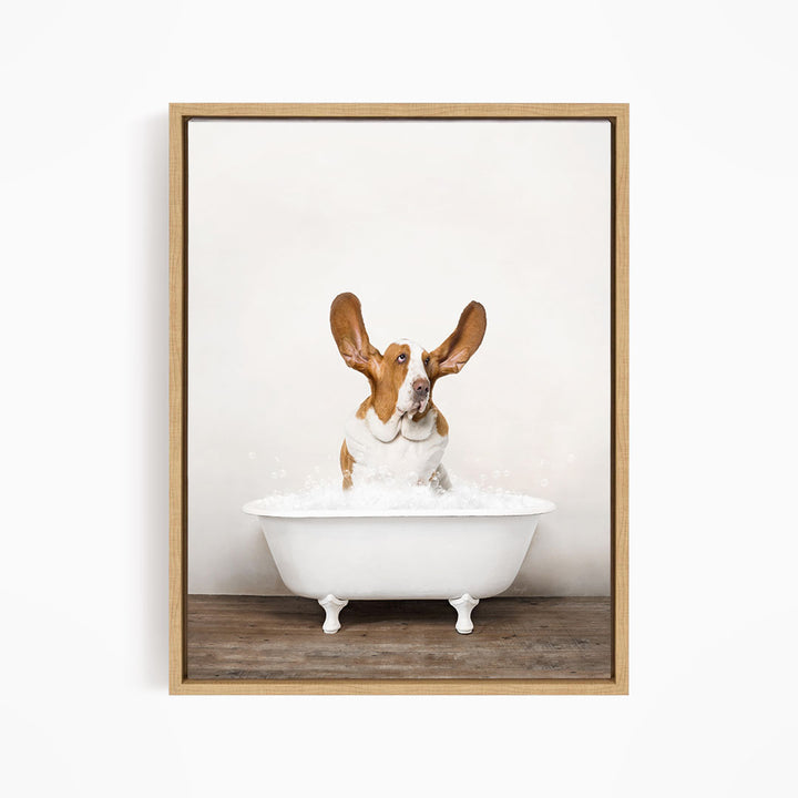 A brown and white dog sitting in a white bathtub filled with water, with its ears perked up and looking directly at the camera.