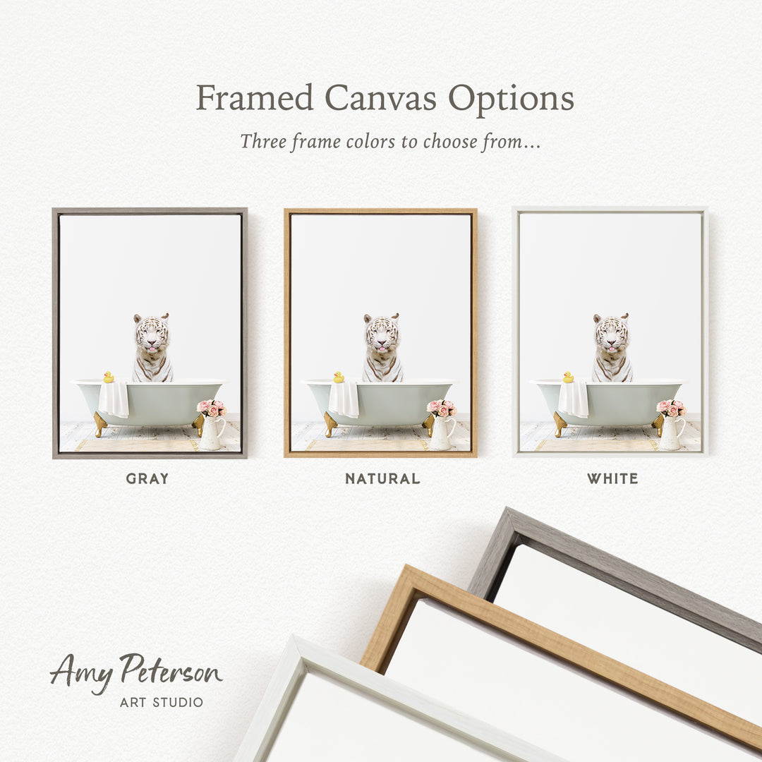 three framed canvas options, each featuring a white tiger in a bathtub, with different frame colors to choose from.