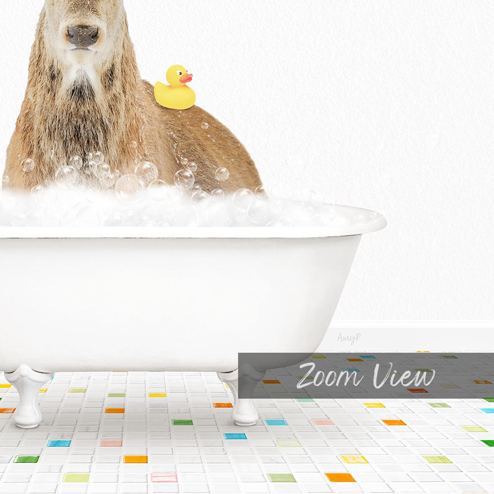 A dog is sitting in a white bathtub filled with bubbles, with a yellow rubber duck floating on its back.