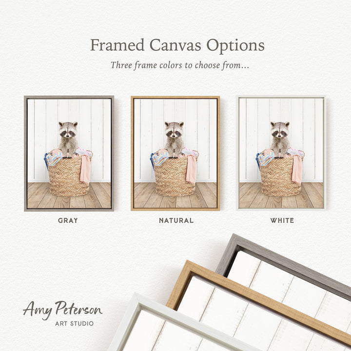 three framed canvas options, each featuring a raccoon sitting in a basket. The options include a gray, a natural, and a white frame.