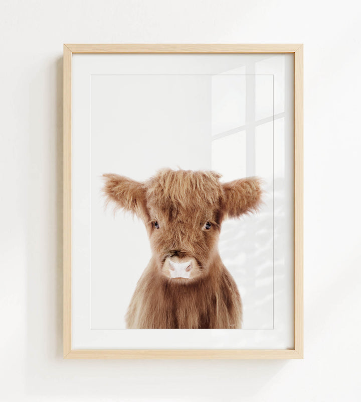 A framed image of a brown cow with a white nose and eyes, looking directly at the camera.