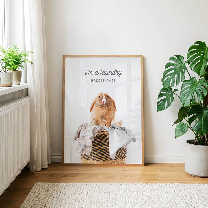 A framed photo of a rabbit sitting in a basket, with the text "I'm a laundry basket case" written on the frame.