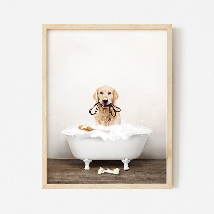 a picture of a dog in a bathtub with a leash