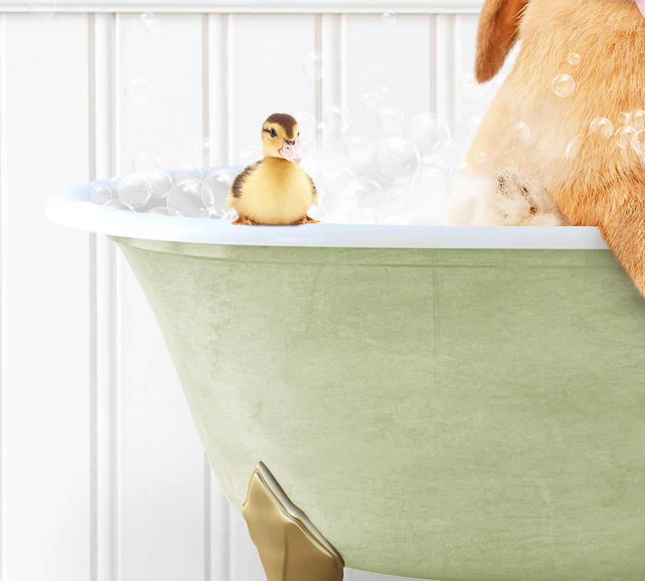 a dog sitting in a bathtub with bubbles and a rubber duck